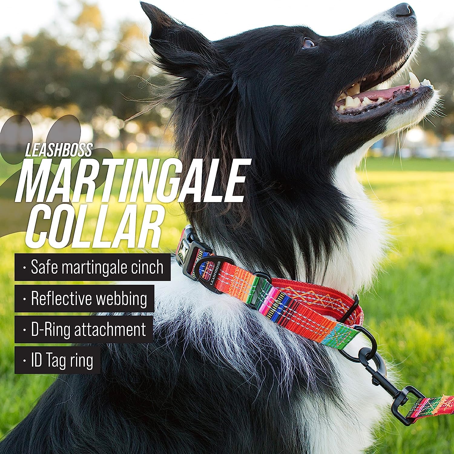 Martingale Collar for Dogs | Reflective Nylon Dog Collar for Large Dogs, Medium and Small Dogs | No Pull Pet Training Collar | Quick Release Buckle, Adjustable Pet Collar